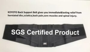 Back Lumbar Support Belt Brace For All Adult